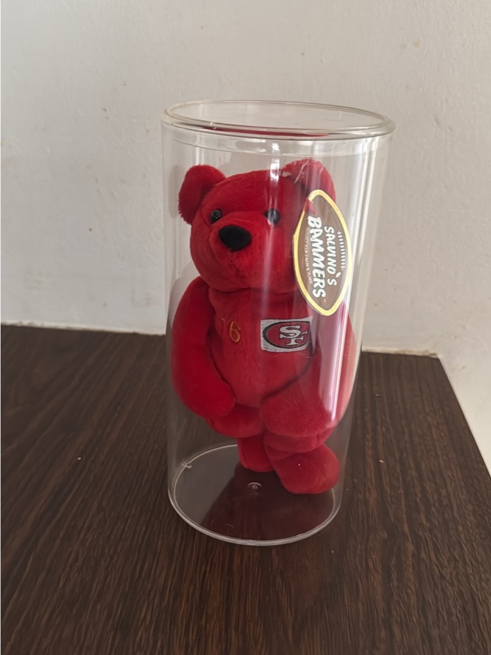 San Francisco 49ers Red Plush Bear by Unknown Brand